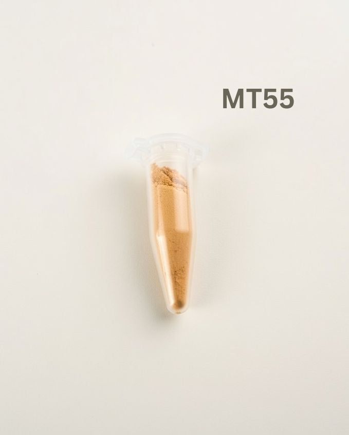 MT55 standardized kanna extract